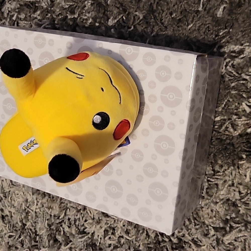 Kids Pokémon slippers